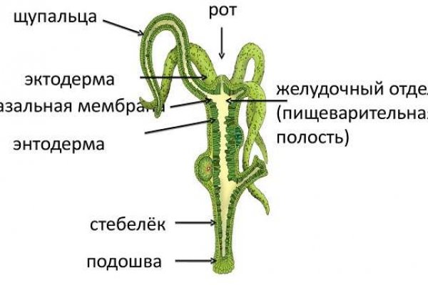 Kra37.cc