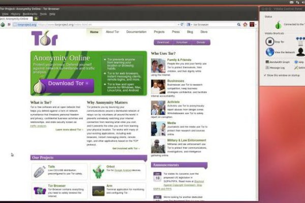 Магазины котиков для начинающих