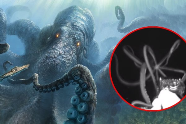 Что за кракен маркет