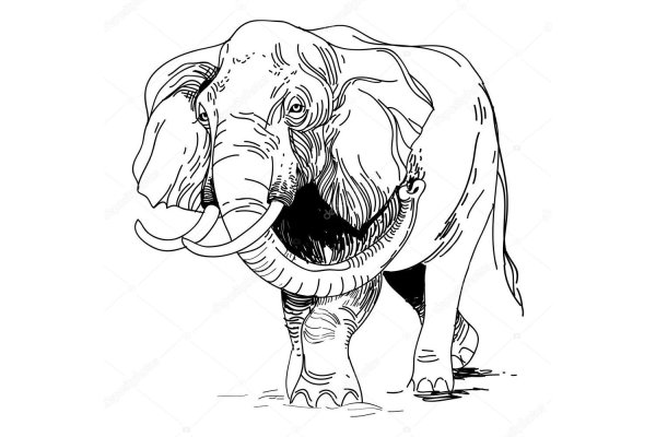 Магазины котиков для начинающих