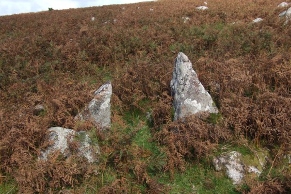 Krab1 cc и современные технологии