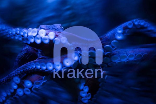 Kraken зеркало: Оптимальные решения