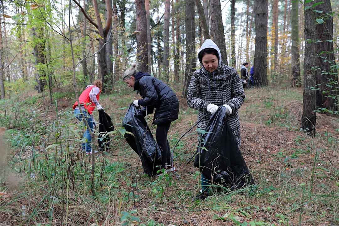 Кракен сайт в тор браузере ссылка